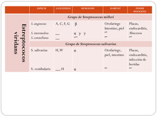 ESPECIE      LANCEFIELD        HEMOLISIS           HABITAT           PODER
                                                                                        PATOGENO

                                           Grupo de Streptococcus milleri
                S. anginosus      A, C, F, G    β                  Orofaringe        Placas,
Estreptococos
                                                                   Intestino, piel   endocarditis,
                S. intermedius    __          α y γ                “”                Abscesos
   viridans


                S. constellatus   __          “”                   “”                “”
                                          Grupo de Streptococcus salivarius
                S. salivarius     H, W         α                   Orofaringe,       Placas,
                                                                   piel, intestino   endocarditis,
                                                                                     infección de
                                                                                     heridas
                S. vestibularis   __, H        α                   “”                “”
 