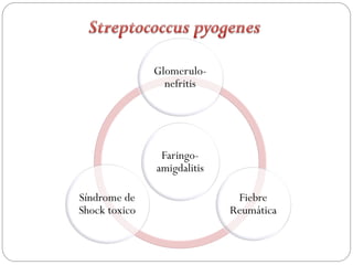 Glomerulo-
                 nefritis




                Faringo-
               amigdalitis

Síndrome de                   Fiebre
Shock toxico                 Reumática
 