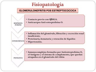 GLOMERULONEFRITIS POS ESTREPTOCOCCICA


               • Contacto previo con SβHGA.
 RESPUESTA     • Anticuerpos Anti-estreptolisina O.
  INMUNE




               • Inflamación del glomérulo, filtración y excreción renal
                 insuficiente.
               • Proteinuria, hematuria y retención de líquidos
CONSECUENCIA
               • Hipertensión.



               • Inmunocomplejos formados por Antiestreptolisina O,
                 el Antígeno y el sistema de complemento, que quedan
 PATOGENIA       atrapados en el glomérulo del riñón
 