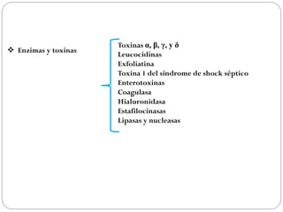 Toxinas α, β, γ, y δ
 Enzimas y toxinas
                      Leucocidinas
                      Exfoliatina
                      Toxina 1 del síndrome de shock séptico
                      Enterotoxinas
                      Coagulasa
                      Hialuronidasa
                      Estafilocinasas
                      Lipasas y nucleasas
 