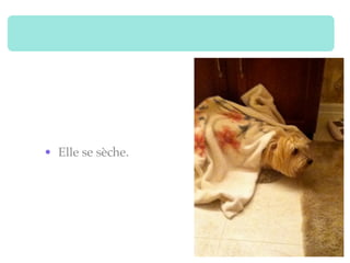 • Elle se sèche.
 