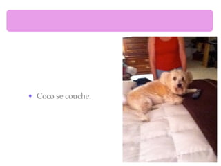 • Coco se couche.
 