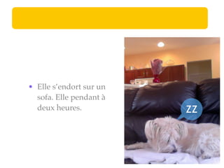 • Elle s’endort sur un
  sofa. Elle pendant à
  deux heures.           ZZ
 
