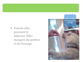 J’adore manger
                      du jambon et du
                          fromage.



• Ensuite elles
  prennent le
  déjeuner. Elles
  mangent du jambon
  et du fromage.
 