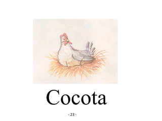 Cocota
- 23 -
 