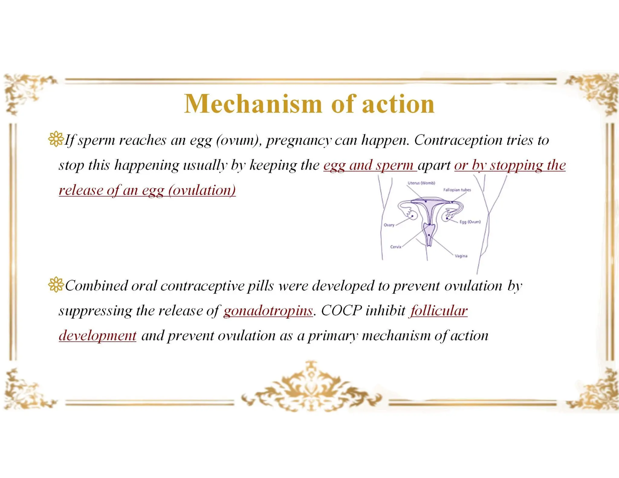 COCP.pdf
