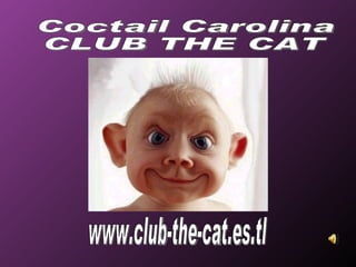 www.club-the-cat.es.tl Coctail Carolina CLUB THE CAT 