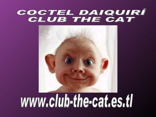 www.club-the-cat.es.tl COCTEL DAIQUIRÍ CLUB THE CAT 