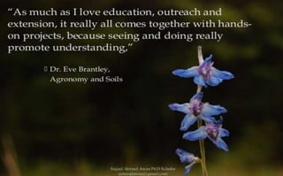 Co curricular activities