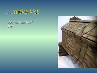 … unieke kist voor een mens of dier 