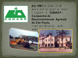 Em 1987  a CAIC é extinta para dar lugar à  CODASP - Companhia de Desenvolvimento   Agrícola de São Paulo,  referência  em serviços de conservação do solo e da água. 