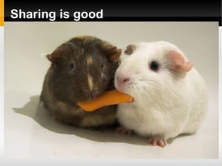 Code Management (Version Control)