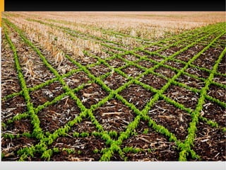 Code Management (Version Control)