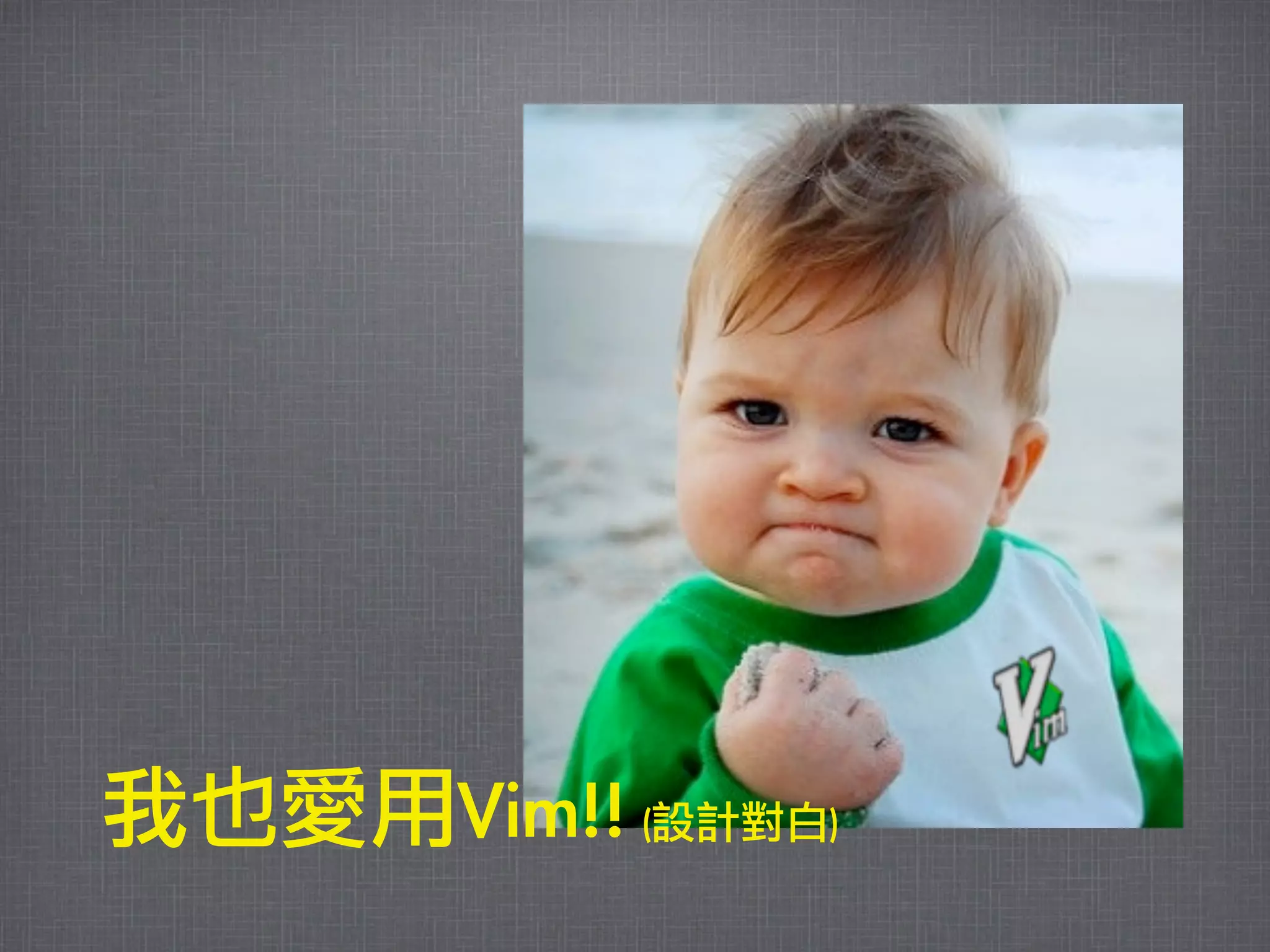 我也愛用Vim!!	 (設計對白)
 