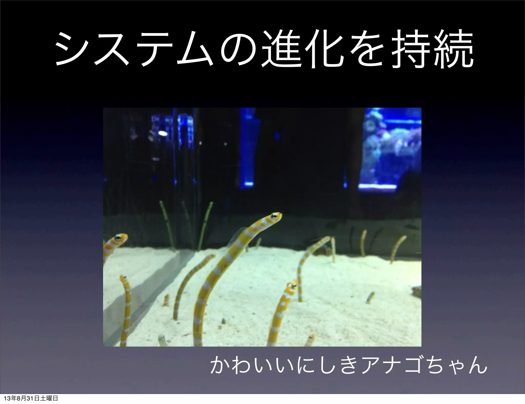システムの進化を持続
かわいいにしきアナゴちゃん
13年8月31日土曜日
 