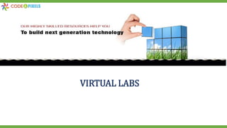 VIRTUAL LABS
 
