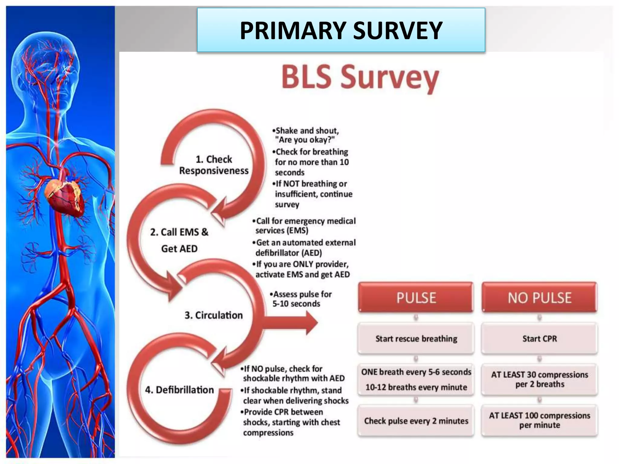 Code blue management | PPTX