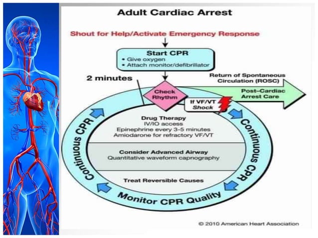 Code blue management | PPTX | First Aid | Injuries