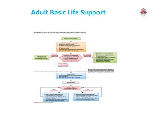 Adult Basic Life Support
 