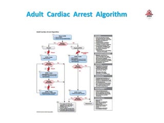 Adult Cardiac Arrest Algorithm
 