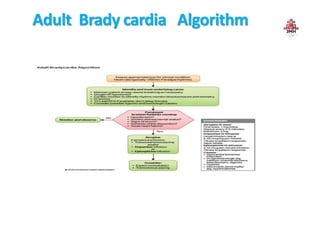 Adult Brady cardia Algorithm
 