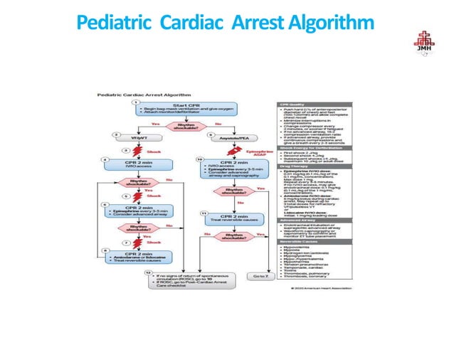 Code Blue Protocol. pptx. Cardiac arrest management in hospital | PPTX