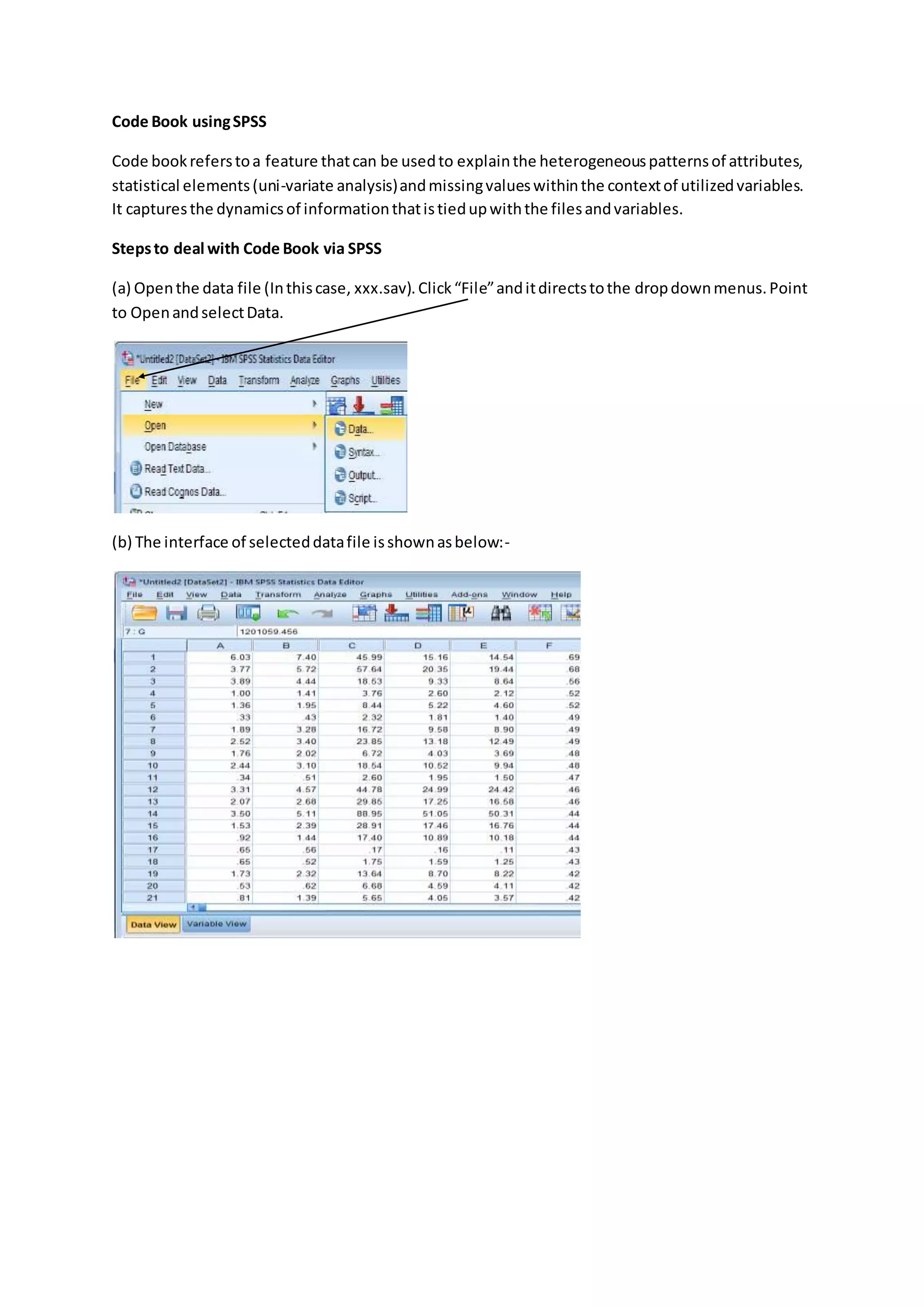 Code book using spss | PDF