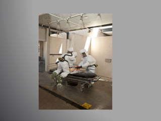Code Brown - Disaster Medicine in the ED | PPTX