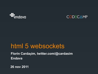 html 5 websockets
Florin Cardașim, twitter.com/@cardasim
Endava

26 nov 2011
 