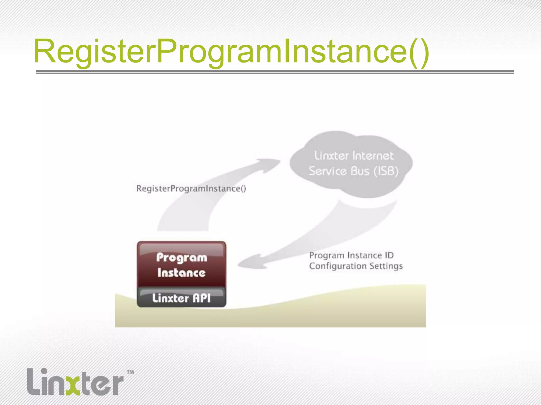 RegisterProgramInstance()