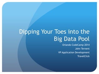 Dipping Your Toes into the
Big Data Pool
Orlando CodeCamp 2014
John Ternent
VP Application Development
TravelClick
 