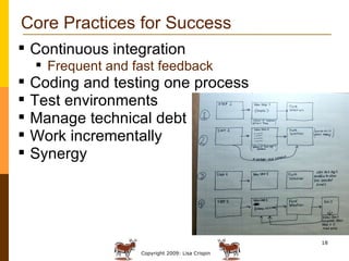 Core Practices for Success Continuous integration Frequent and fast feedback Coding and testing one process Test environments Manage technical debt Work incrementally Synergy 