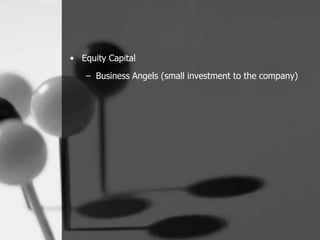• Equity Capital
   – Business Angels (small investment to the company)
 
