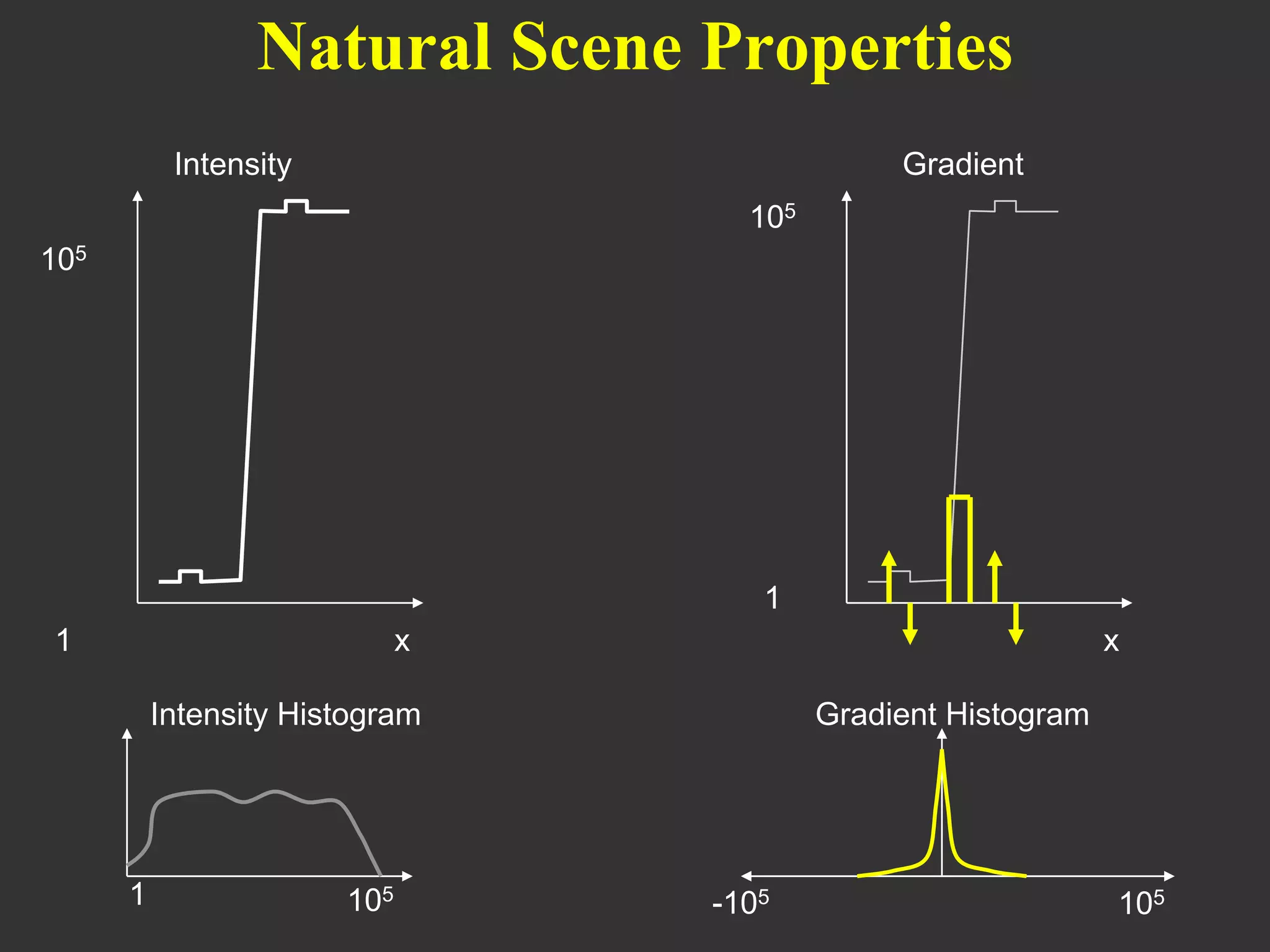 Natural Scene Properties
Intensity

Gradient
105

105

1
1

x

x

Intensity Histogram

1

105

Gradient Histogram

-105

105

 