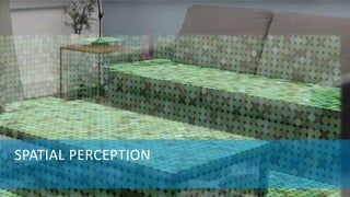 SPATIAL PERCEPTION
 