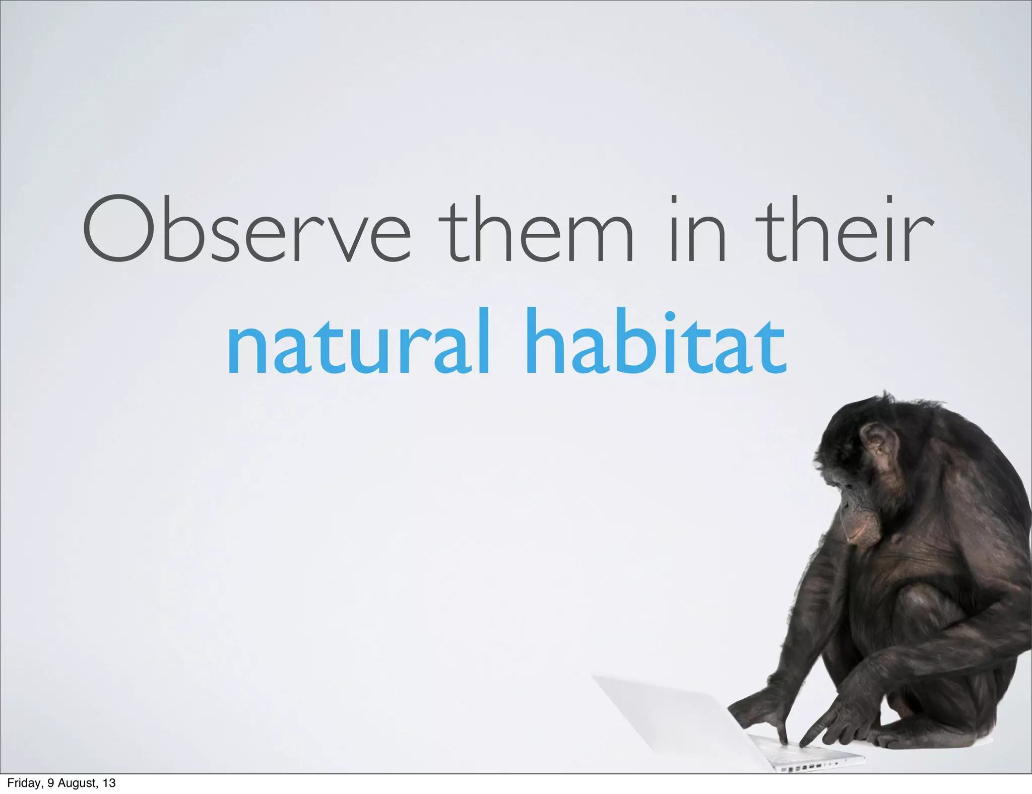 Observe them in their
natural habitat
Friday, 9 August, 13
 