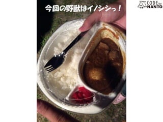 今回の野獣はイノシシっ！  