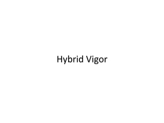 Hybrid Vigor 