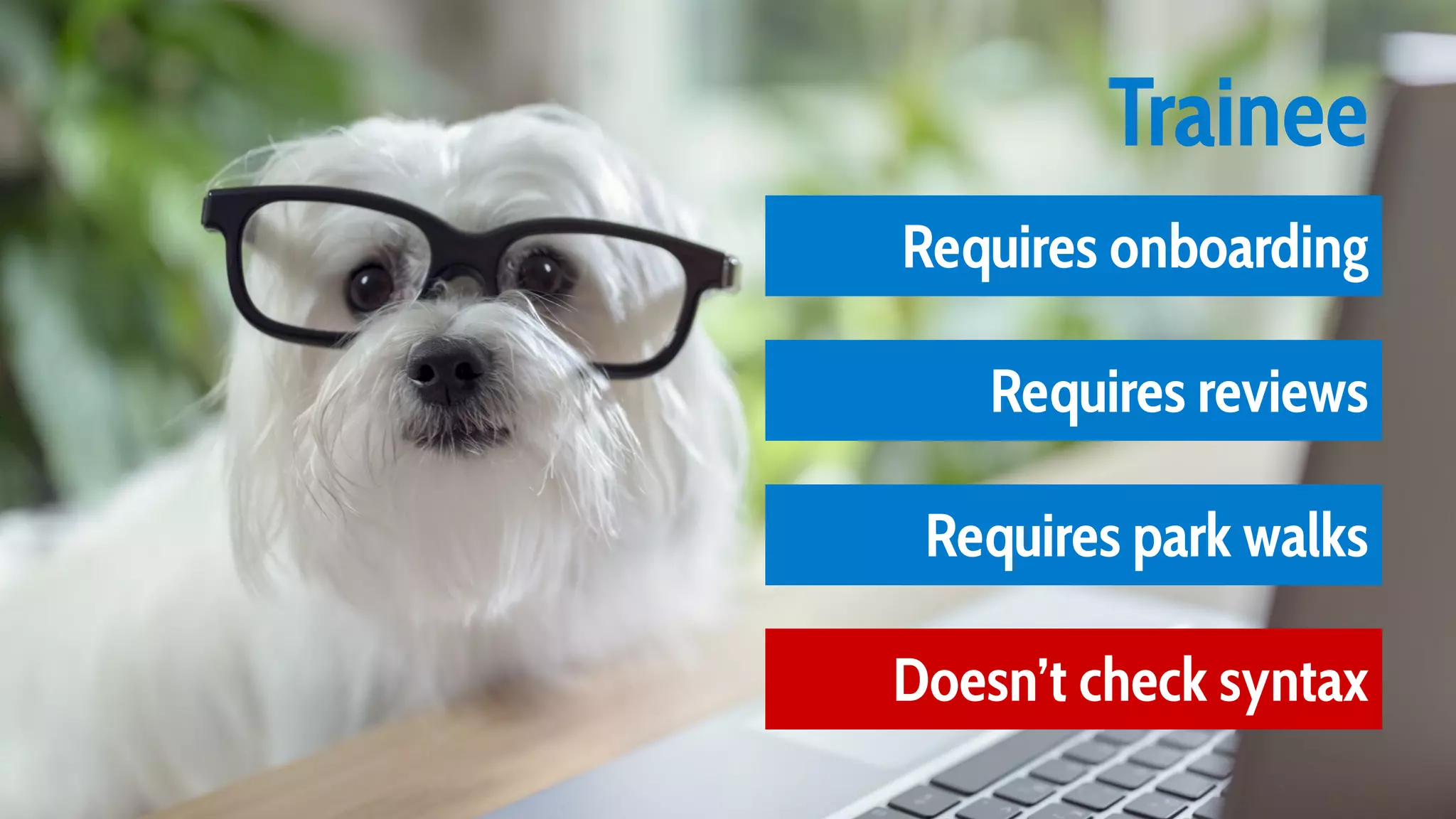 10 Iteration I Trainee Requires onboarding Requires reviews Requires park walks Doesn’t check syntax 