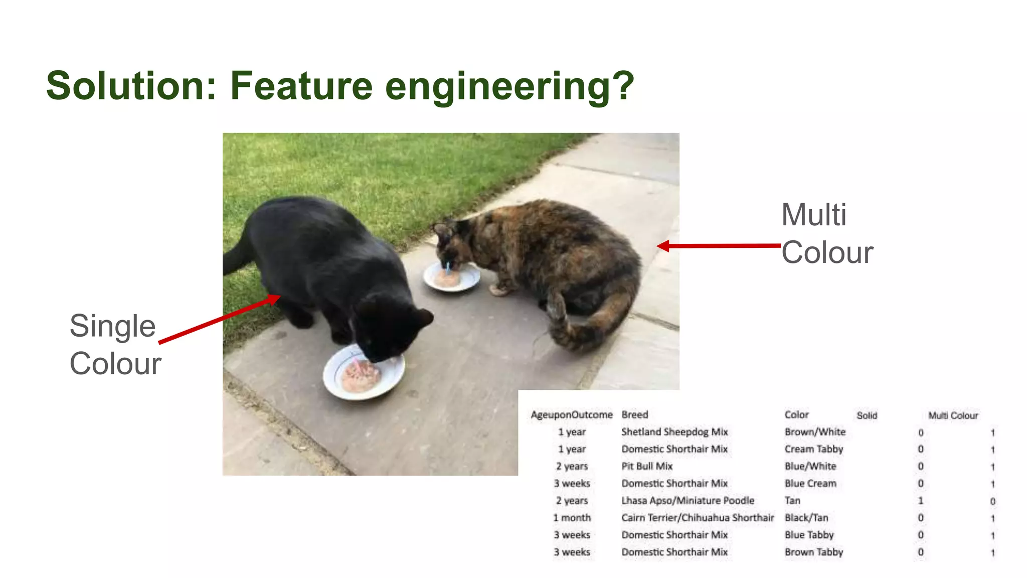 Solution: Feature engineering?
Single
Colour
Multi
Colour
 