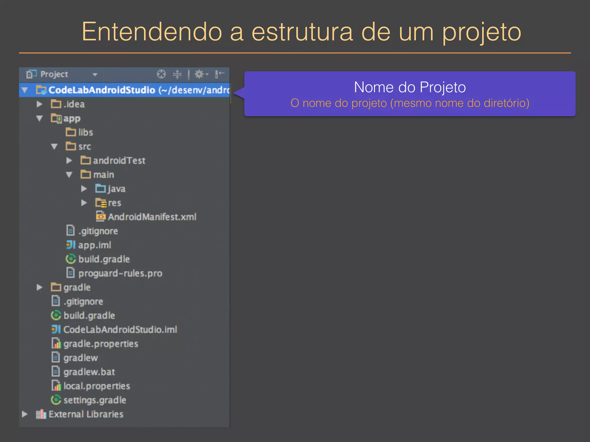 Entendendo a estrutura de um projeto 
Nome do Projeto 
O nome do projeto (mesmo nome do diretório) 
 
