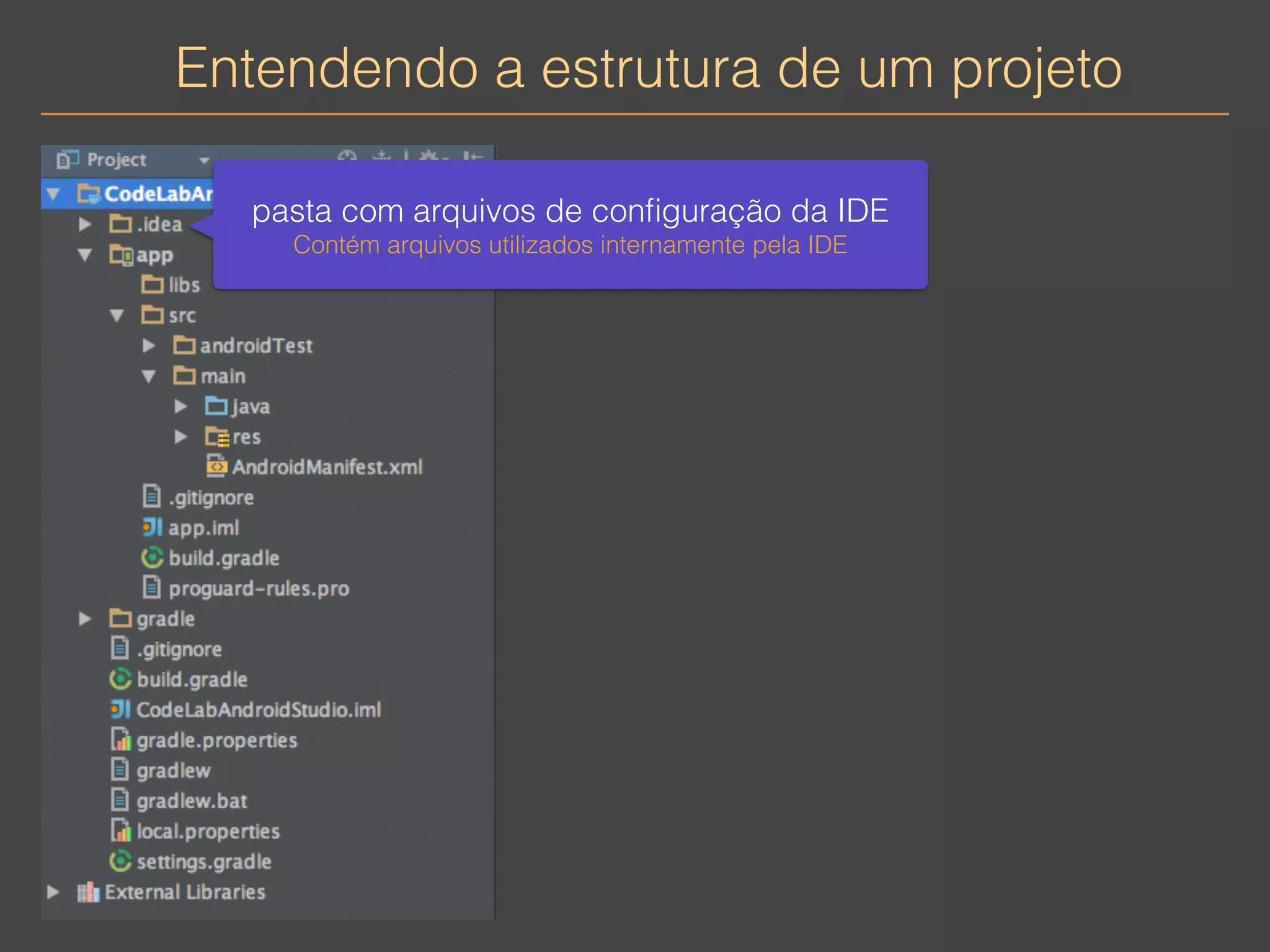 Entendendo a estrutura de um projeto 
pasta com arquivos de configuração da IDE 
Contém arquivos utilizados internamente pela IDE 
 