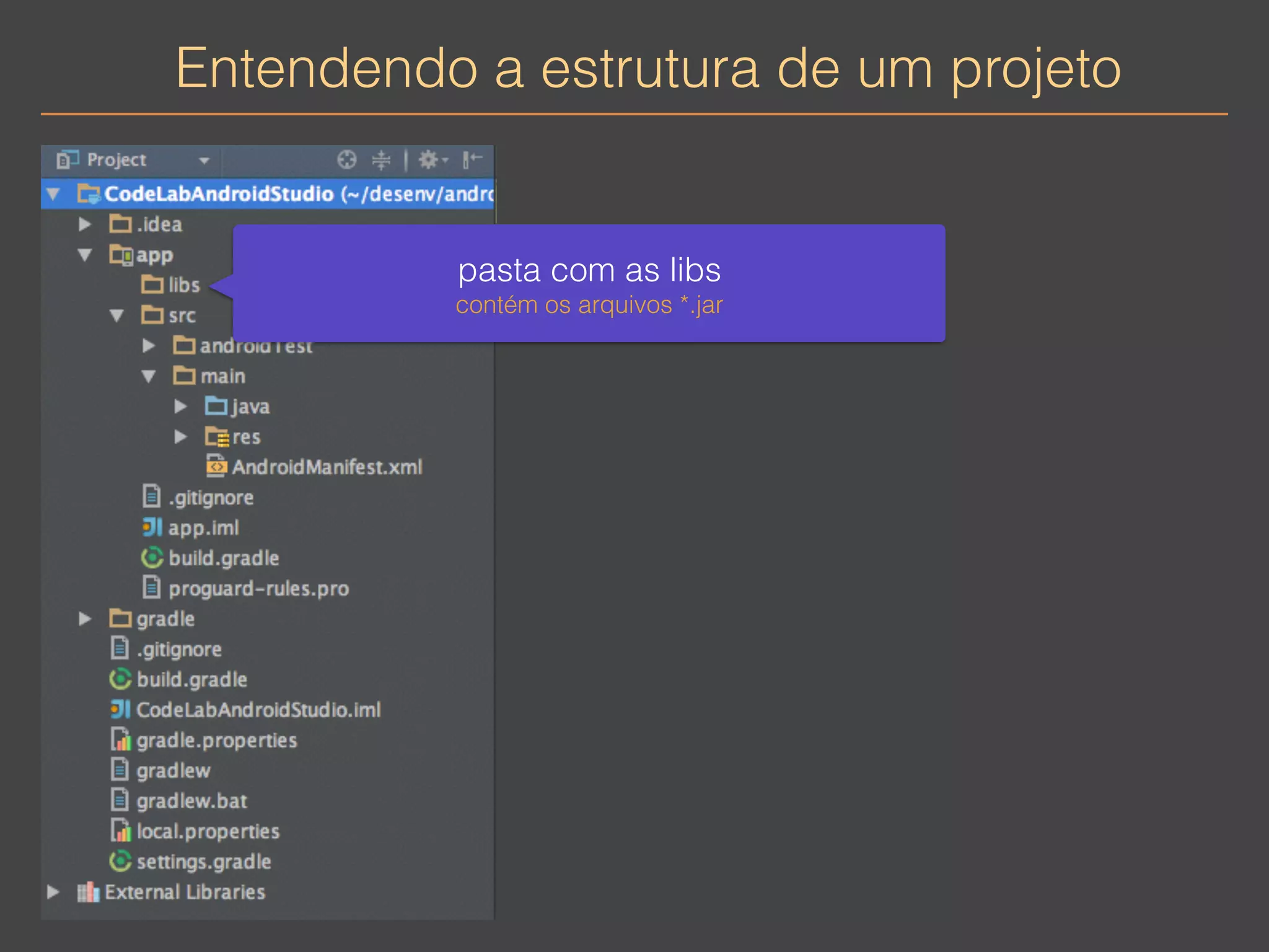 Entendendo a estrutura de um projeto 
pasta com as libs 
contém os arquivos *.jar 
 