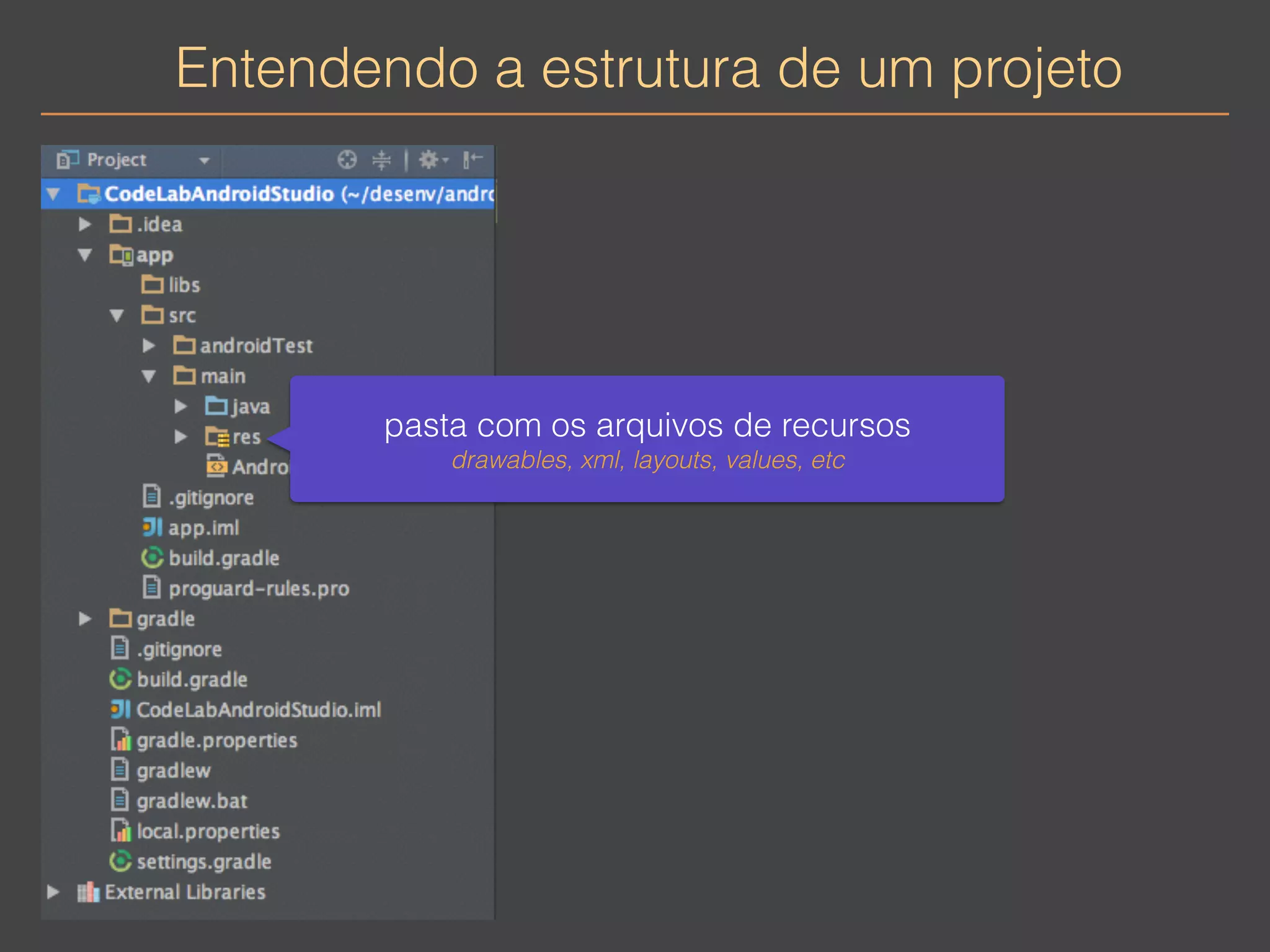 Entendendo a estrutura de um projeto 
pasta com os arquivos de recursos 
drawables, xml, layouts, values, etc 
 