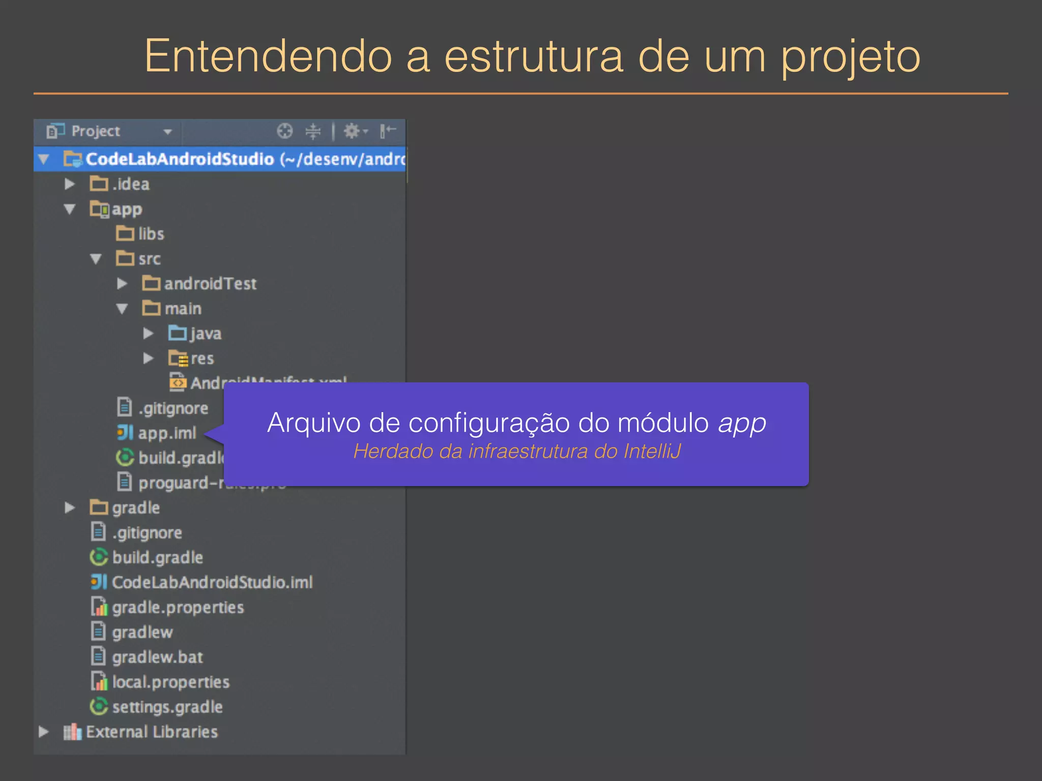 Entendendo a estrutura de um projeto 
Arquivo de configuração do módulo app 
Herdado da infraestrutura do IntelliJ 
 