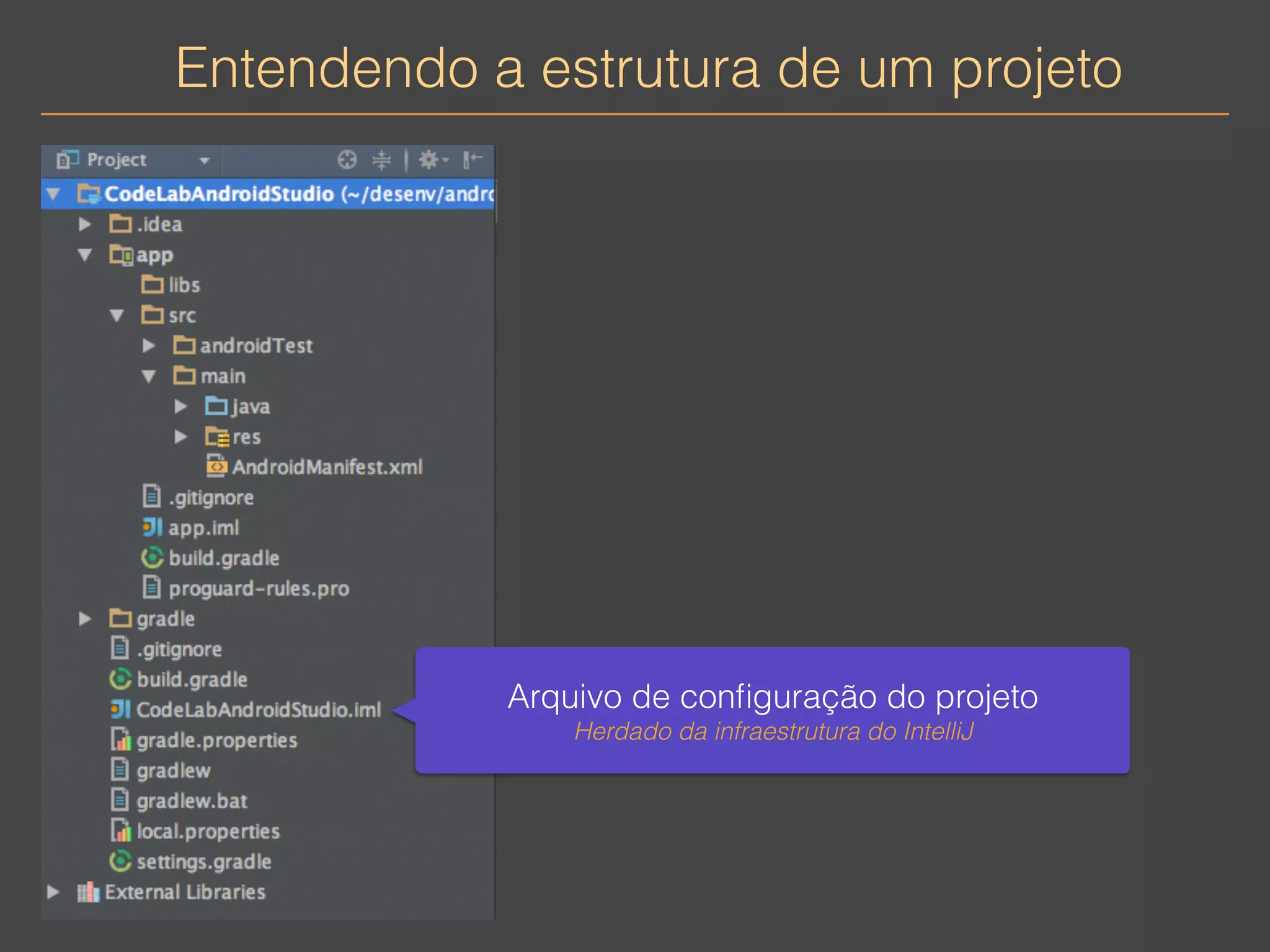 Entendendo a estrutura de um projeto 
Arquivo de configuração do projeto 
Herdado da infraestrutura do IntelliJ 
 