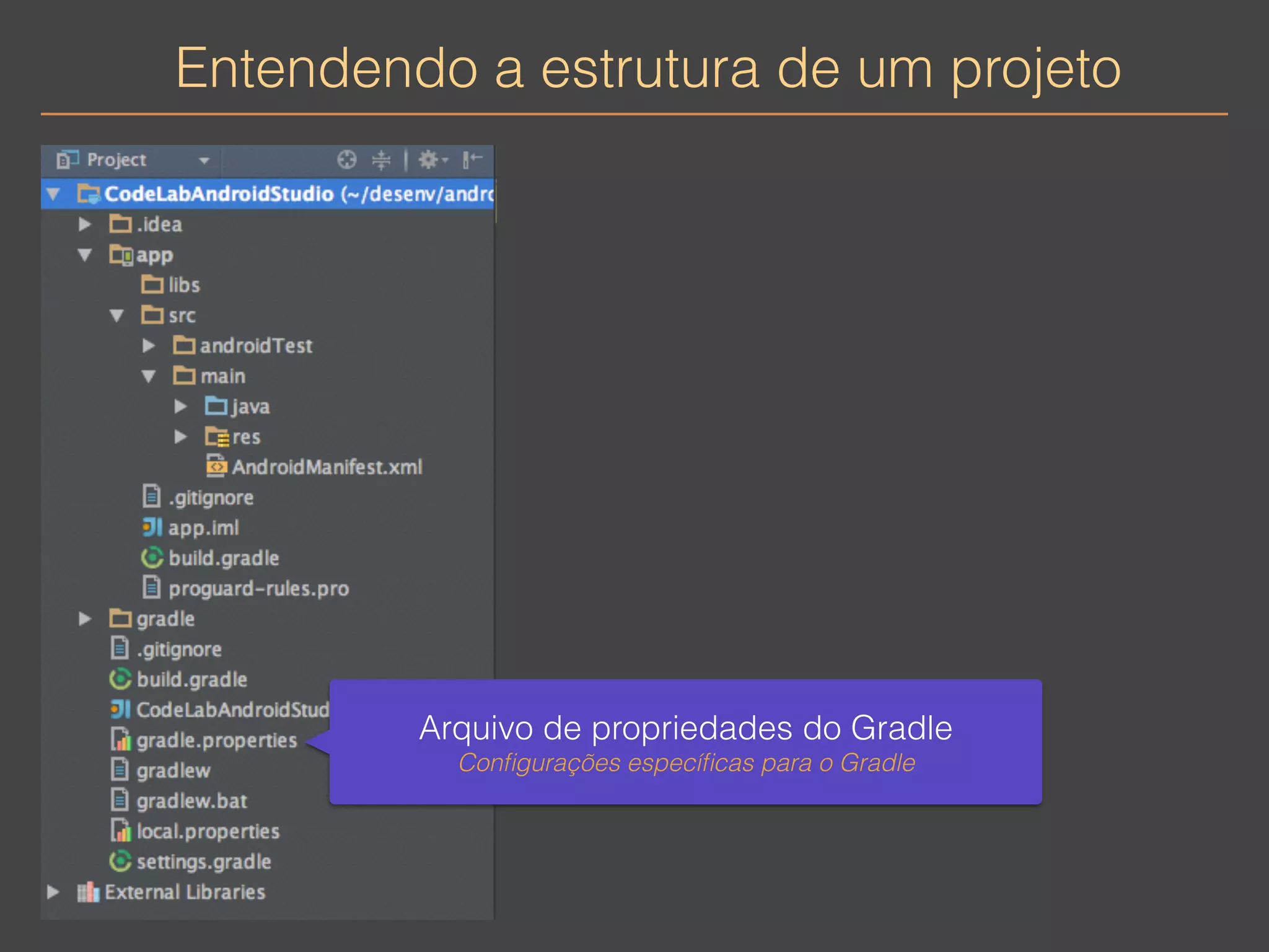 Entendendo a estrutura de um projeto 
Arquivo de propriedades do Gradle 
Configurações específicas para o Gradle 
 