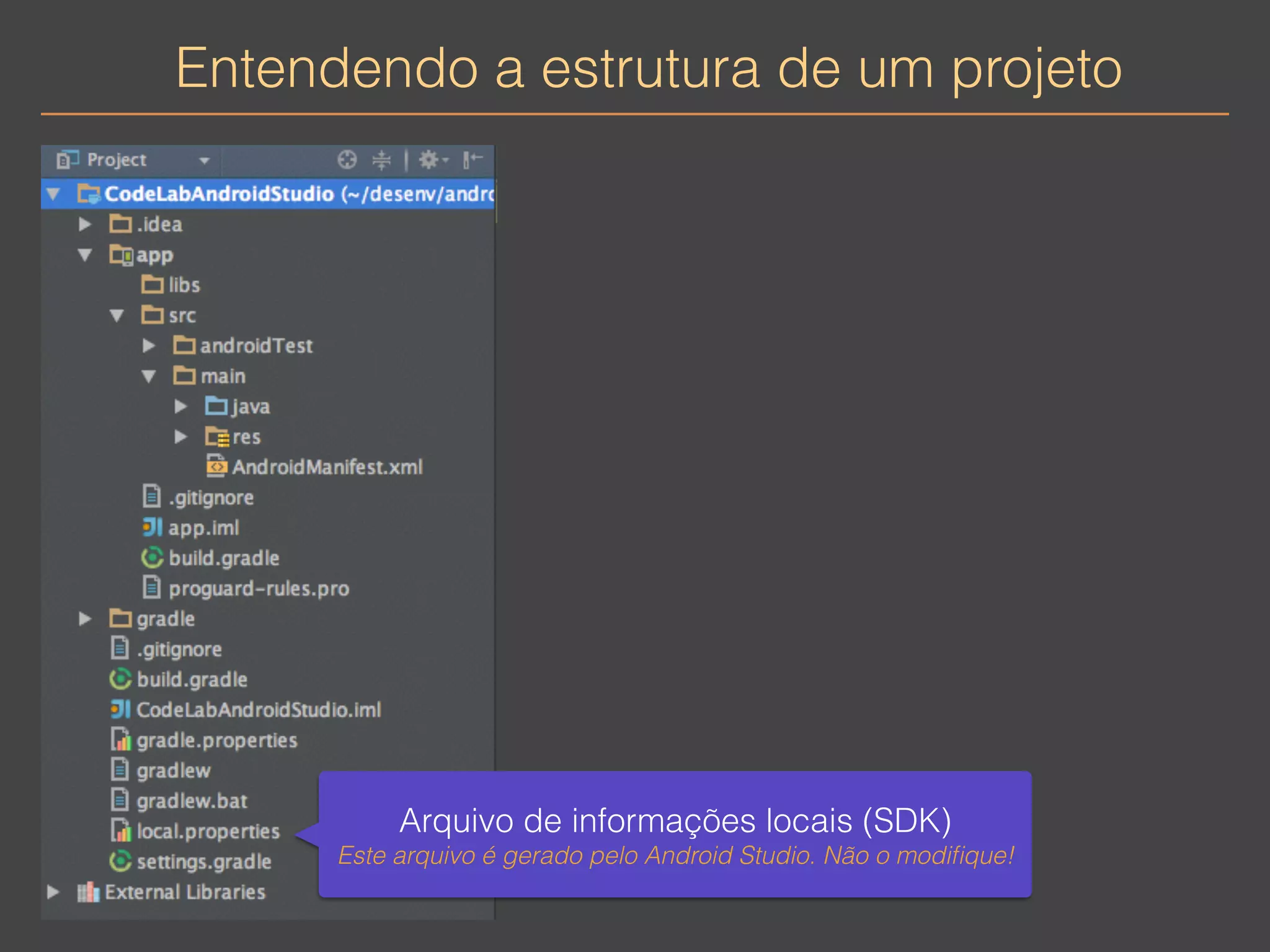 Entendendo a estrutura de um projeto 
Arquivo de informações locais (SDK) 
Este arquivo é gerado pelo Android Studio. Não o modifique! 
 