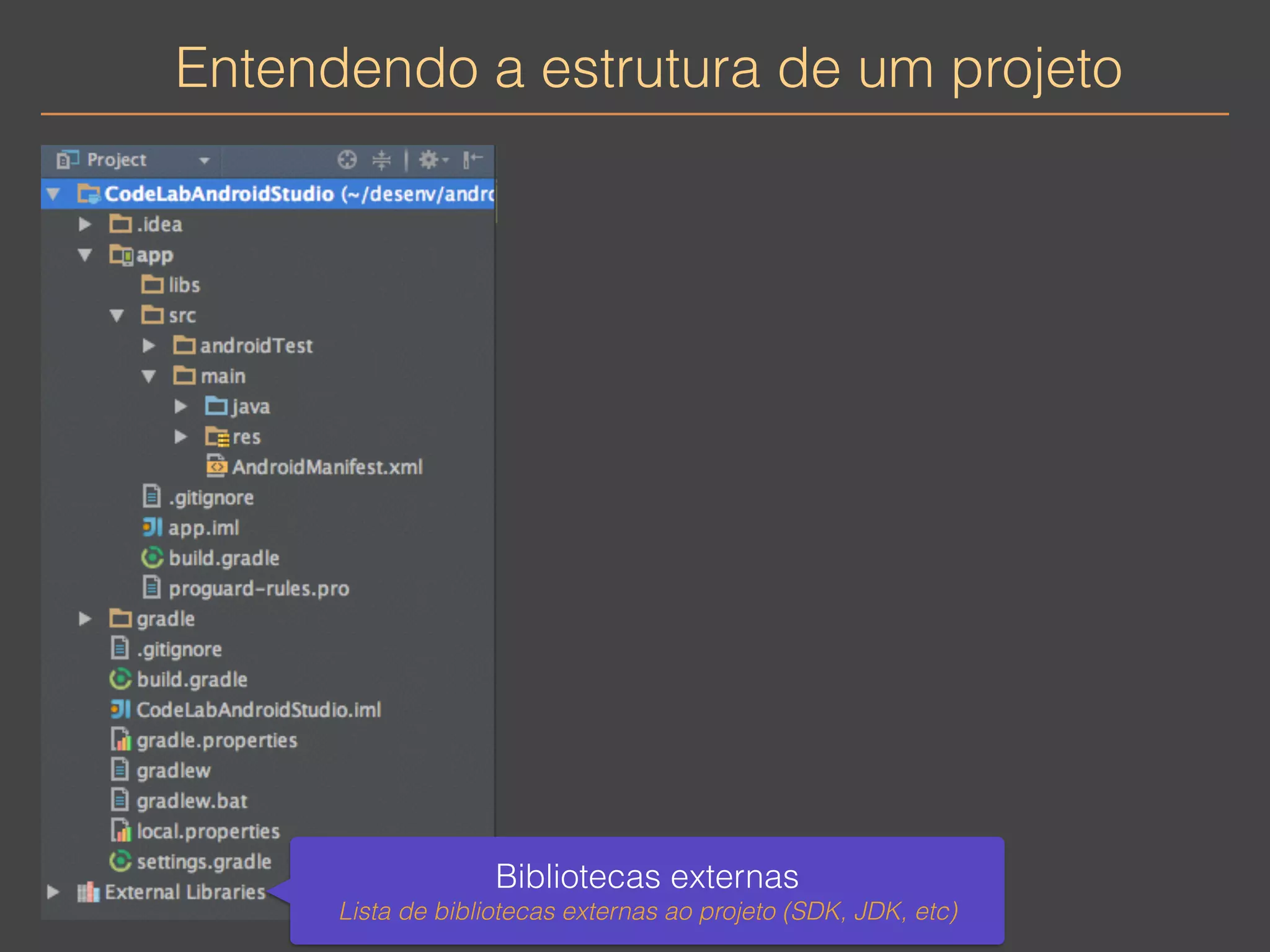 Entendendo a estrutura de um projeto 
Bibliotecas externas 
Lista de bibliotecas externas ao projeto (SDK, JDK, etc) 
 