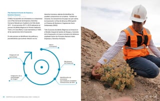 NUESTRA GESTIÓN
Plan Nacional de Acción de Empresa y
Derechos Humanos
Codelco ha asumido con entusiasmo su compromiso
con el Plan de Acción de Empresa y Derechos
Humanos liderado por el gobierno de Chile desde
2017. Es así que entre 2017 y 2018 realizamos un
proceso de debida diligencia en División Radomiro
Tomic y en Casa Matriz, lo que representa un 19,8%
de las operaciones de la Corporación.
En este proceso se identificaron las políticas y
procedimientos que tuvieran relación con los
GRI 103-1 / 103-2 / 103-3 / 412-1
derechos humanos, además de identificar los
posibles compromisos en la materia. También se
revisaron, los mecanismos de queja con que cuenta
la Corporación, la línea de denuncia (Ethicspoint)
y el Sistema de Reclamos y Sugerencias Socio
Ambientales (SRSS).
Todo el proceso de debida diligencia se enmarcó en
el Modelo Integral de Gestión de Riesgos y Controles
de la Corporación y el marco normativo de referencia
empleado fueron los Principios Rectores Sobre
Empresas y Derechos Humanos.
Marco
Conceptual
Mecanismo
de Protección
Identificación de
escenarios
que impliquen probables
vulneraciones de DDHH
Integración de la
metodología
de riesgos
Integración de
aprendizajes
REPORTE DE SUSTENTABILIDAD 2018 I CODELCO
23
 